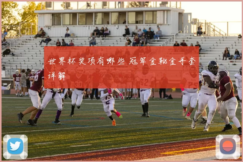 世界杯奖项有哪些 冠军金靴金手套详解