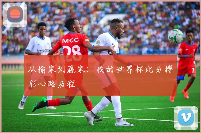 从输家到赢家:我的世界杯比分搏彩心路历程