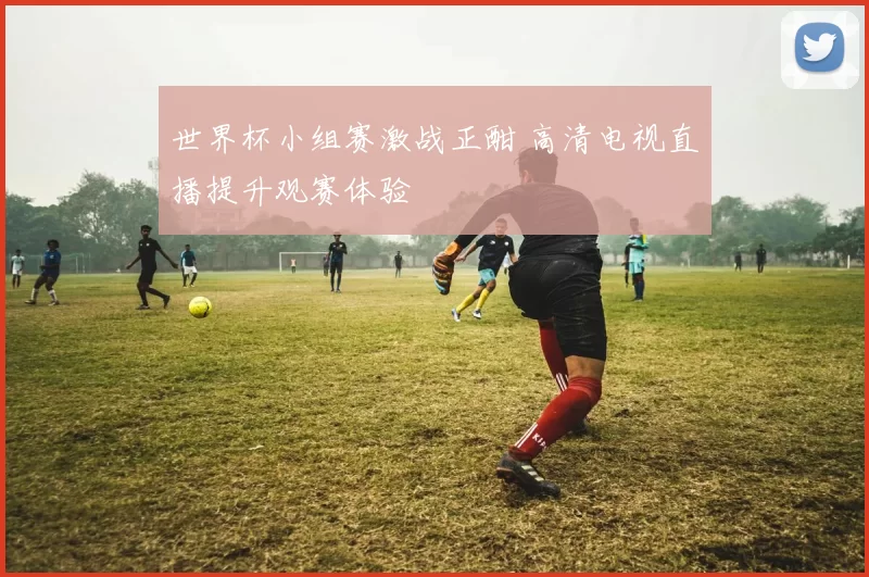 世界杯小组赛激战正酣 高清电视直播提升观赛体验